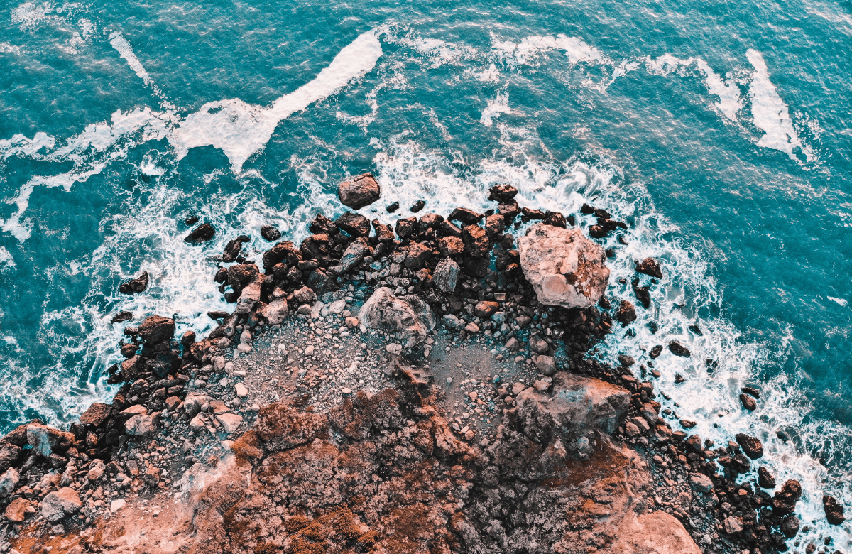 Google News Showcase launches in Australia